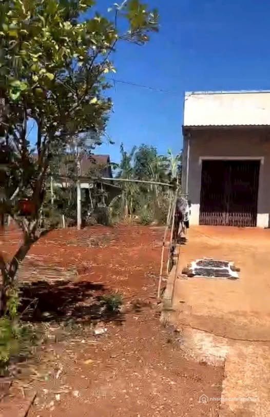 Bán nhà riêng: Chào mừng quý vị đến với thiên đường Bầu Lâm, Xuyên Mộc, Bà Rịa -