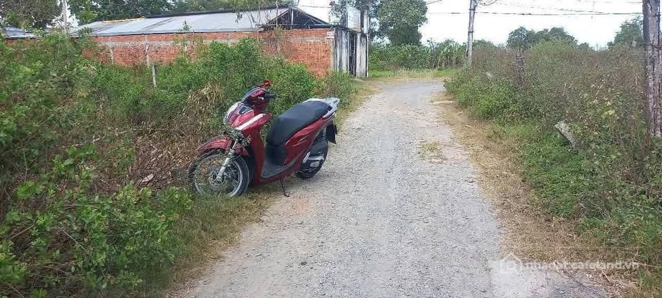Bán đất thổ cư: Bán đất đường Mậu Thân, phường Trà Vinh (phường 9 cũ), đối diện 