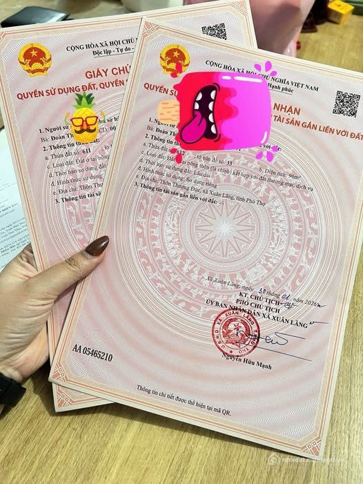 Bán đất thổ cư: Bán đất tại Đạo Đức - Bình Xuyên, 96m2, mặt tiền 6m, cơ hội đầu 