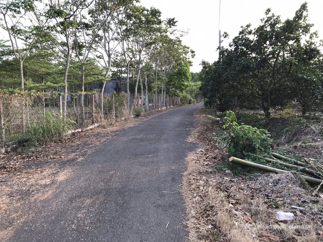 Bán đất thổ cư: 8804m2 phủ hồng có 300m2 thổ cư - Đất tại Tân Lâm Xuyên Mộc