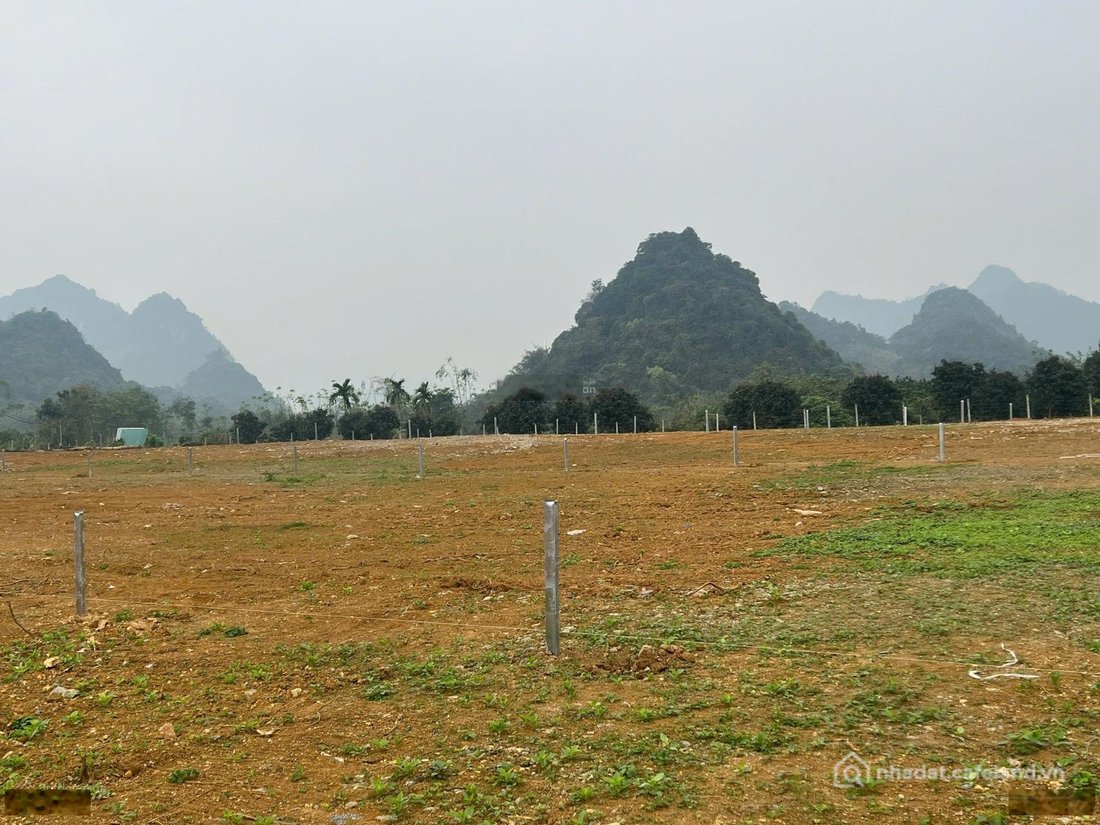 Bán đất thổ cư: Chính chủ mở bán em hoa hậu 2450m2 tại Kim Bôi, Hòa Bình thích h