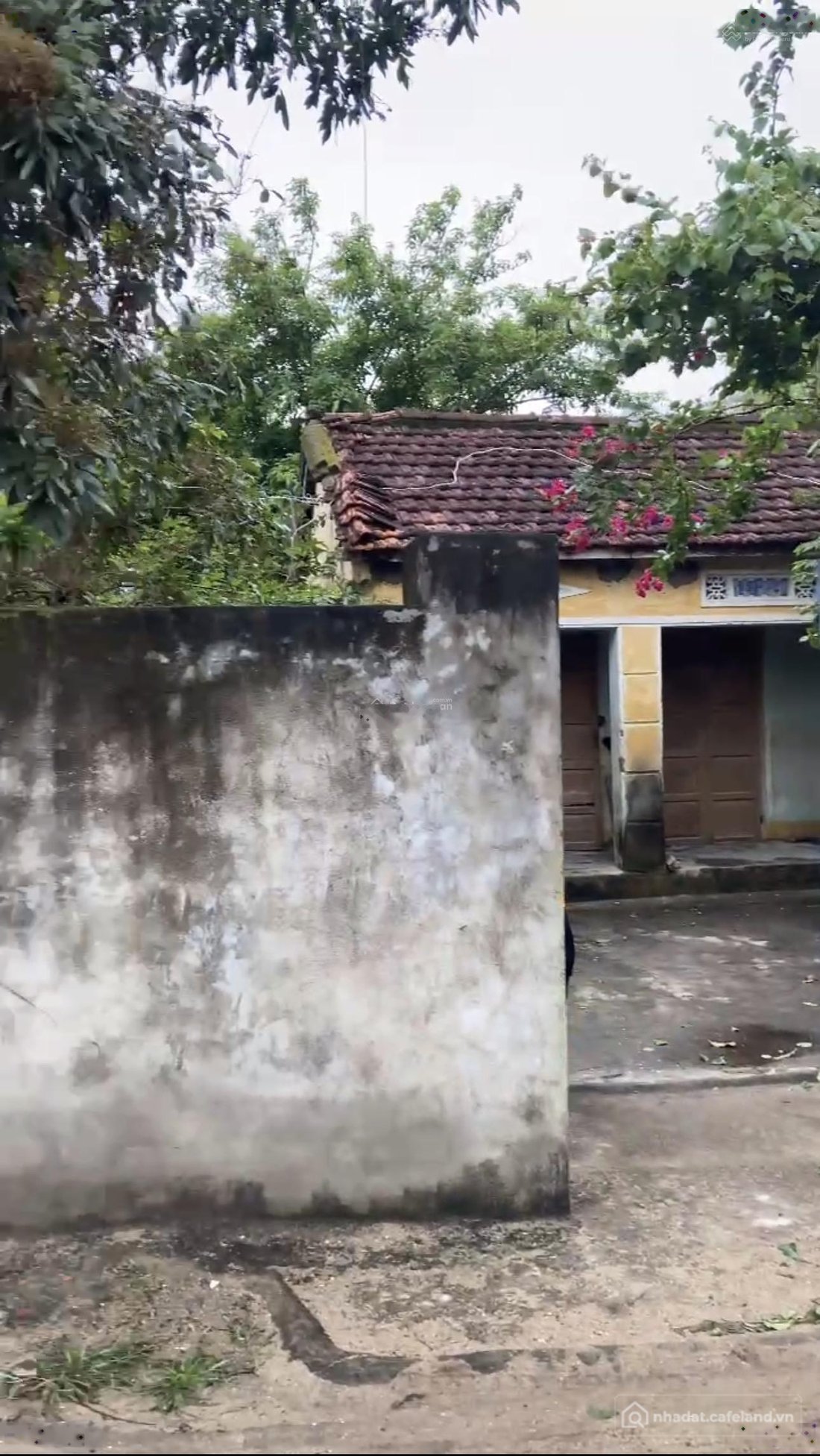 Bán đất thổ cư: Chính chủ cần tiền gấp cần bán lô đất đẹp Thọ Lâm, Phú Yên