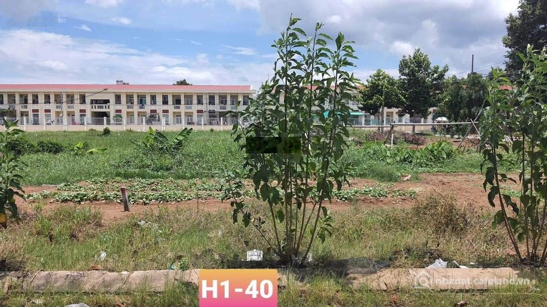 Bán đất thổ cư: Bán đất nền, dự án tại Stella Mega City, 2,9 tỷ, 125m2, giá ưu đ