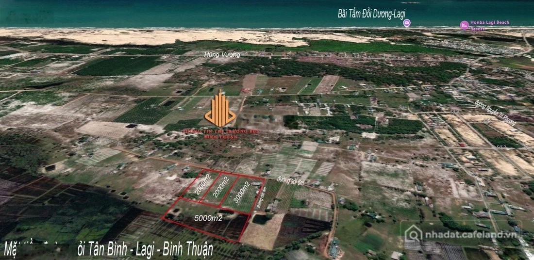 Bán đất thổ cư: 9000m2 mặt tiền bê tông 5m Tân Bình - Lagi - Lâm Đồng cần bán gi