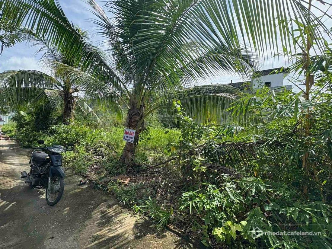 Bán đất thổ cư: Chính chủ cần bán gấp lô đất liền kề ngay cạnh chợ Hộ Phòng, giá