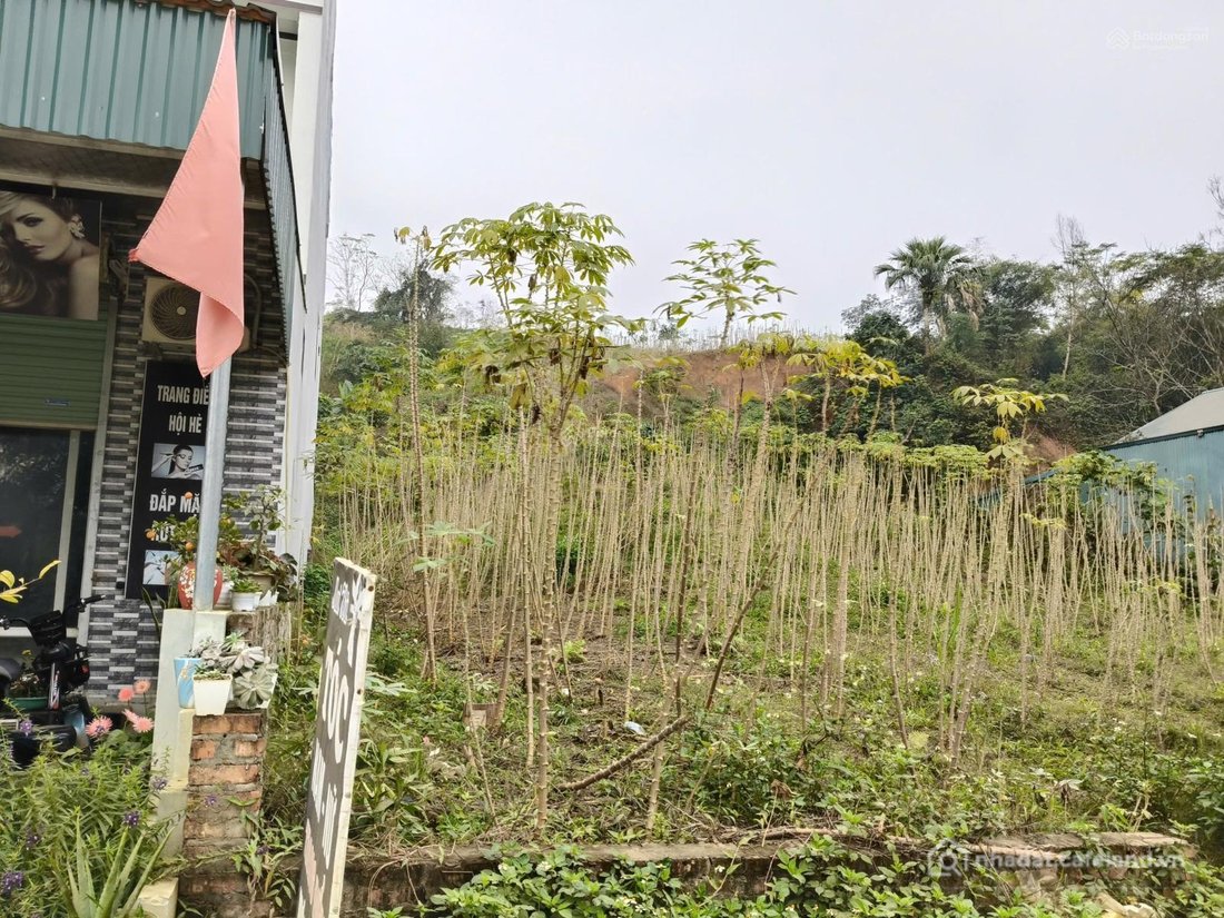 Bán đất thổ cư: Đất Minh Quang mặt đường nhựa huyện lộ ngay sát TL415, view núi 