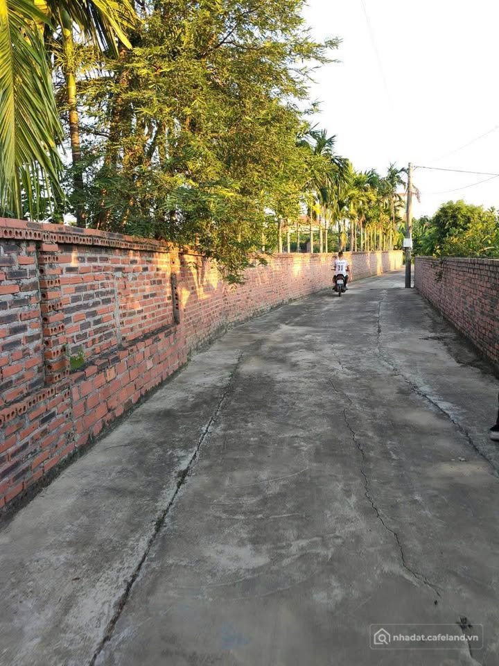 Bán đất thổ cư: Bán đất 1.319m2 có 200m2 thổ cư, 2 mặt tiền tại Đông Triều, Quản
