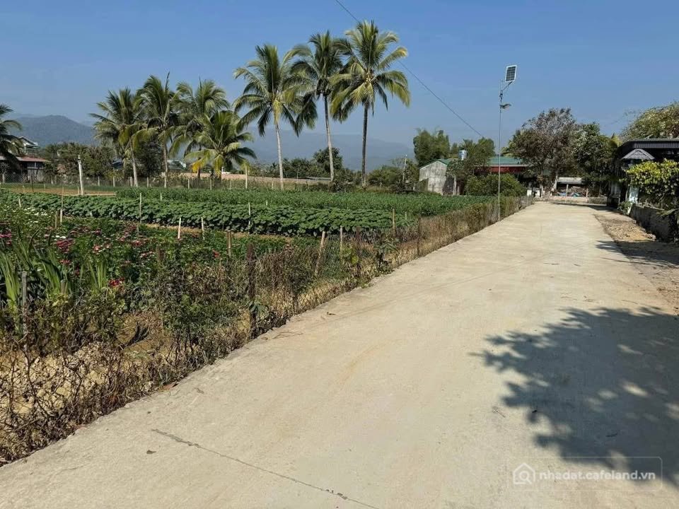 Bán đất thổ cư: Bán đất tại thôn Mỹ Hưng, xã Thanh Nưa (xã Thanh Hưng cũ), huyện