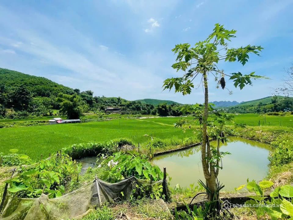 Bán nhà riêng: Bán nhà riêng huyện Kim Bôi, tỉnh Hòa Bình, giá 1 tỷ