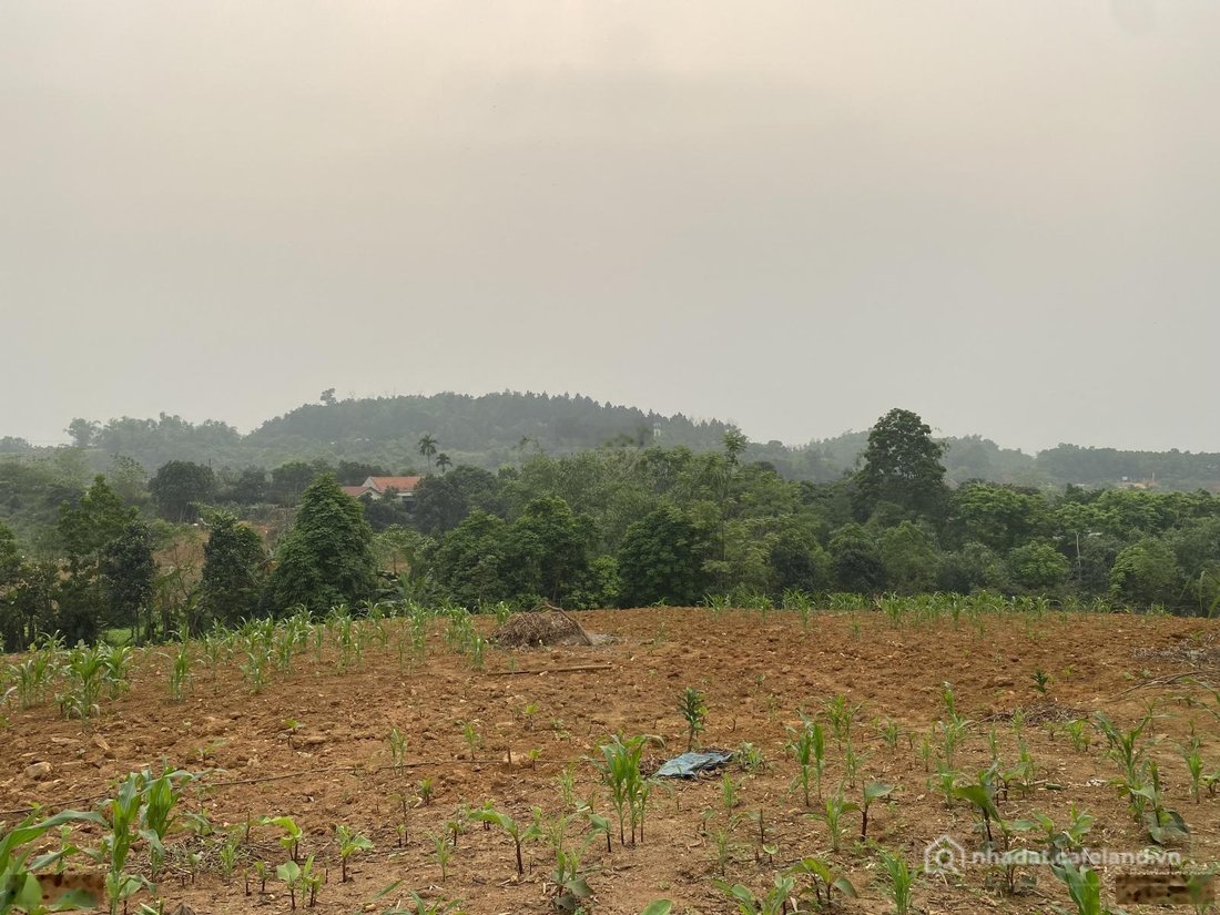 Bán đất thổ cư: Tôi cần bán lô đất 2200m2 siêu đẹp tại thôn Hợp Sơn, Ba Vì. Xung