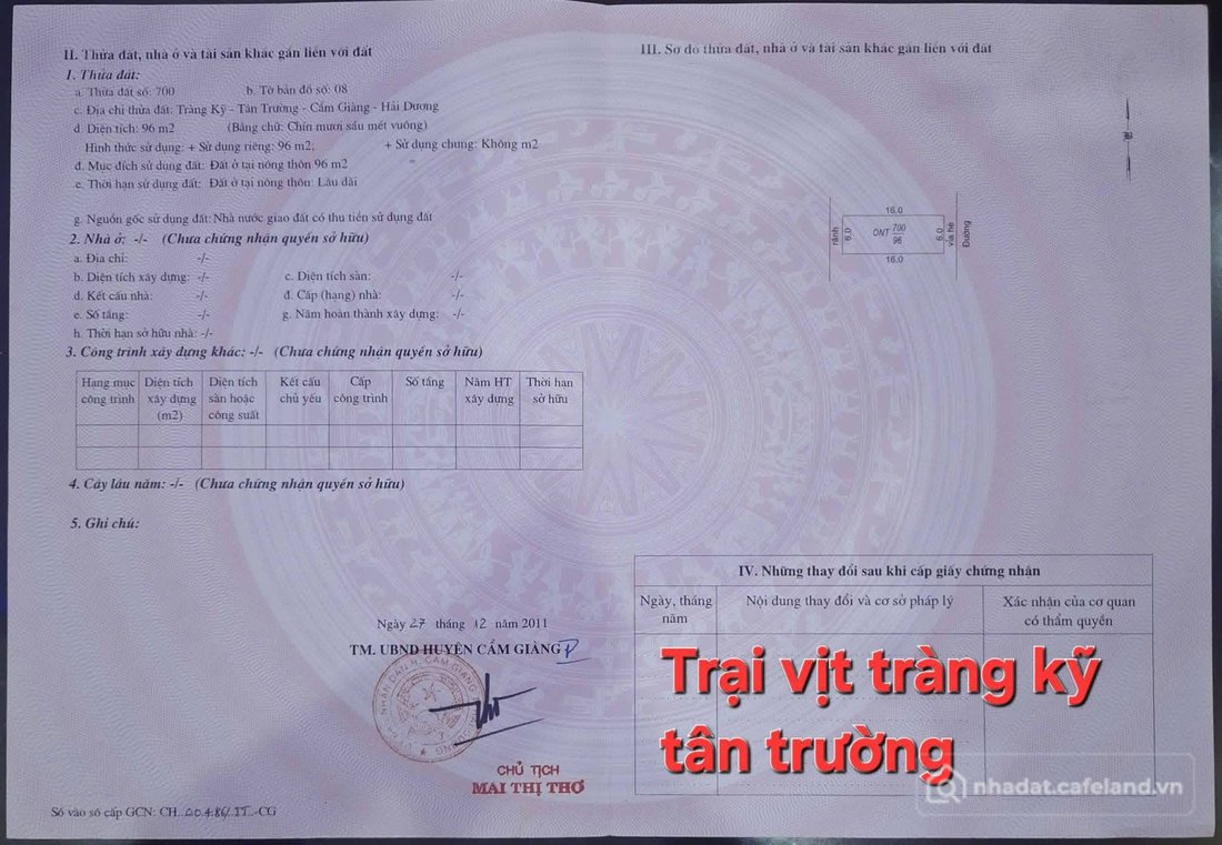 Bán đất thổ cư: Bán đất huyện Cẩm Giàng vị trí cực đẹp – tiềm năng tăng giá cao