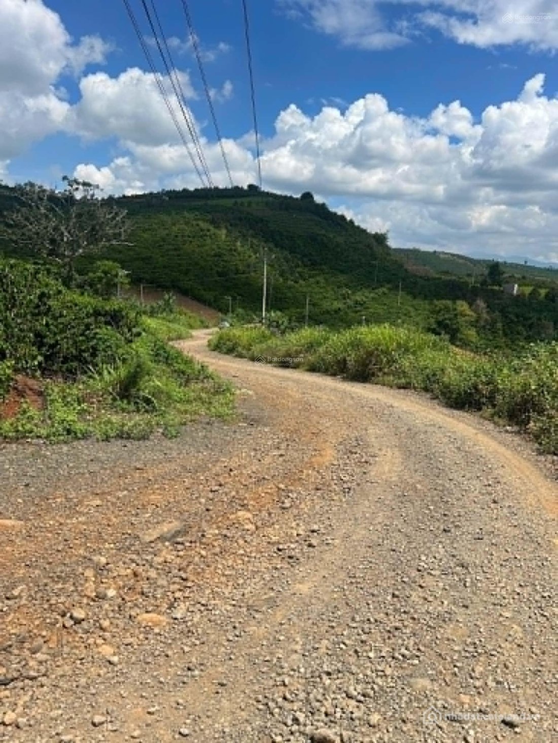 Bán đất thổ cư: Bán đất 200m² tại Tân Phú (Di Linh), 285 triệu, View Sông
