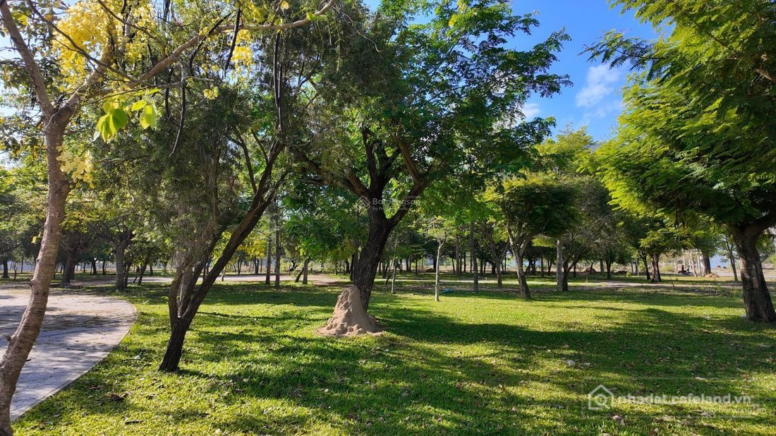 Bán đất thổ cư: Bán đất 200m2 đối diện công viên tại TĐC Ninh Long, Ninh Hoà đón