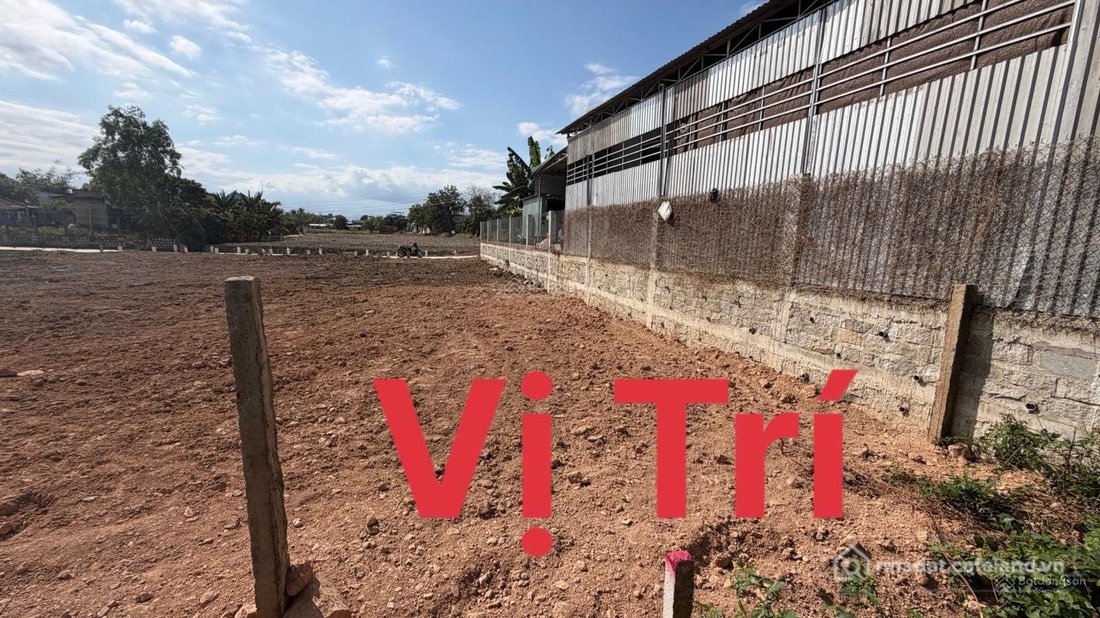 Bán đất thổ cư: Bán đất trung tâm Ninh Hiệp, P. Ninh Hoà chính chủ kẹt bán 168m2