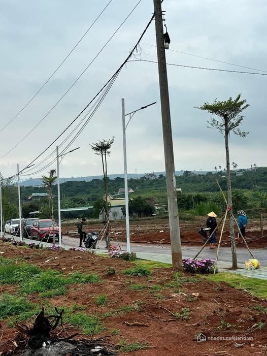 Bán đất thổ cư: Chỉ 495 triệu sở hữu ngay đất tại Đinh Văn, Lâm Hà