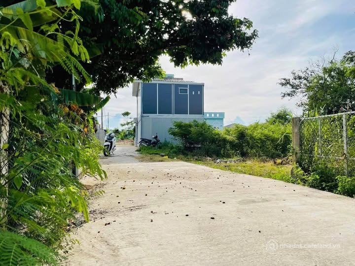 Bán đất thổ cư: Bán đất Phước Nghĩa, Tuy Phước, cách chợ 500m, giá 450 triệu