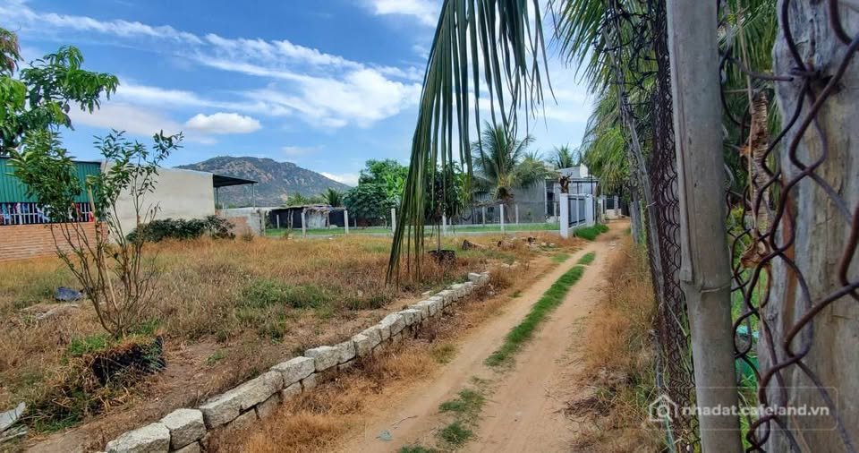 Bán đất thổ cư: Bán 395m2 đất Hò Rò Văn Hải, sổ riêng, giá chỉ 290 triệu
