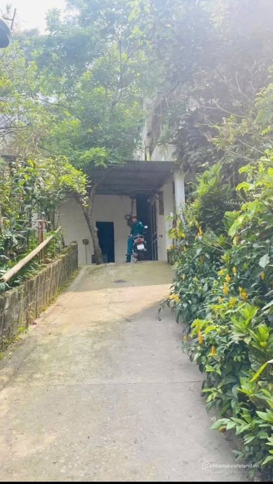 Bán nhà riêng: Nhà cấp 4 siêu xinh, giá yêu thương chỉ 800 triệu đồng, đang chờ 