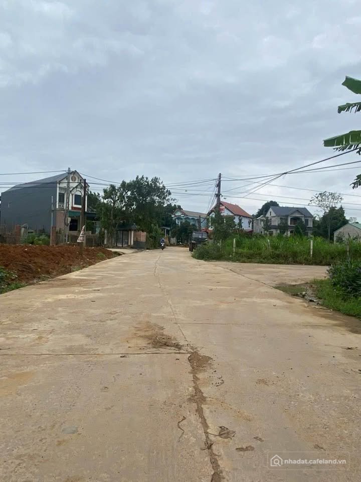 Bán đất thổ cư: Bán 201m² đất vườn đủ điều kiện lên thổ cư, Khu 7, Hy Cương, Thà