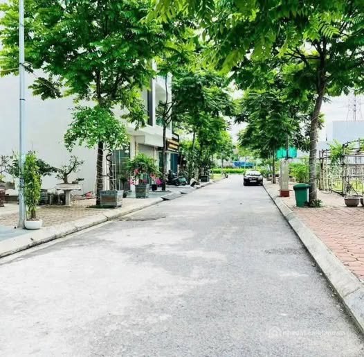Bán đất nền dự án: Bán đất đô thị Mỹ Trung, Nam Định, 75m2, mặt tiền 5m, hướng T