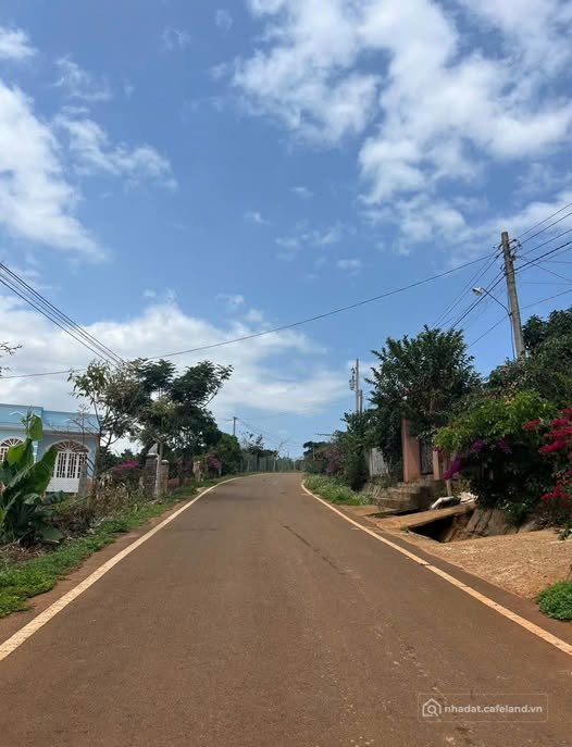 Bán đất thổ cư: Bán đất mặt tiền 16,5m đường nhựa Tân Nghĩa, Bảo Thuận, Di Linh,