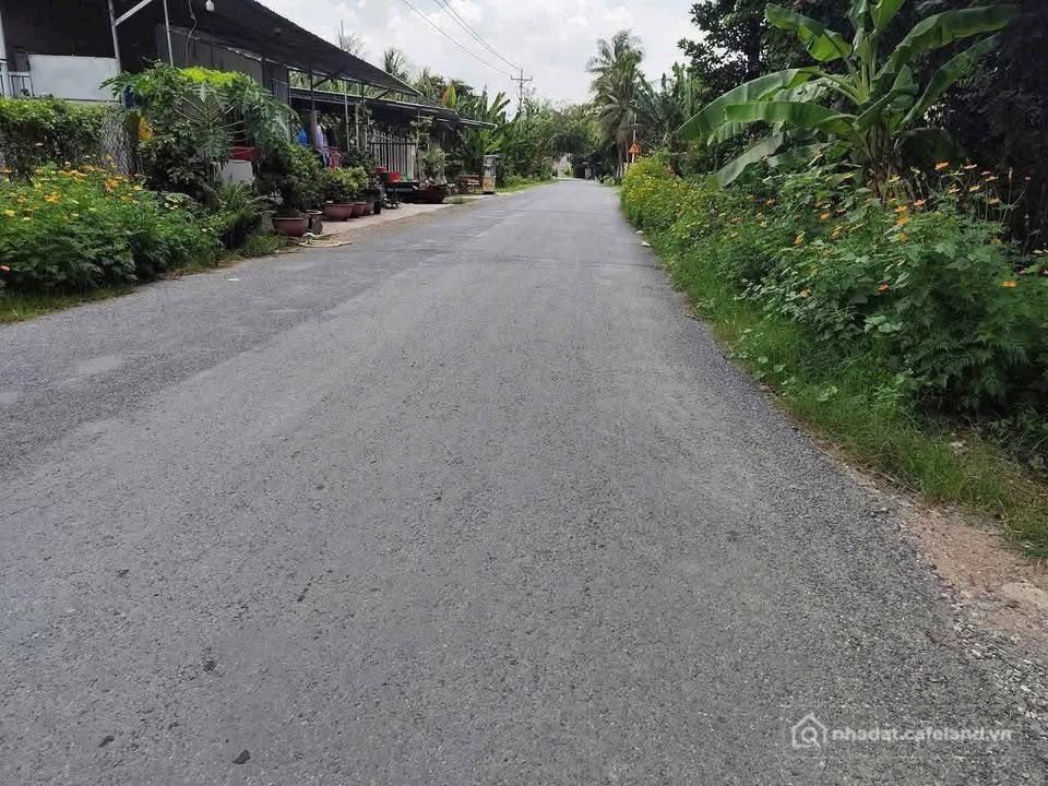 Bán đất thổ cư: Bán đất Thanh Sơn 3 xã Thanh Tân phường Bến Tre