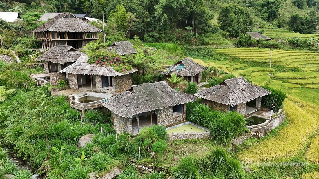 Bán đất thổ cư: Mảnh đất 1.235m² tại Bản Tả Van, view ruộng bậc thang, đẹp mê mẩ