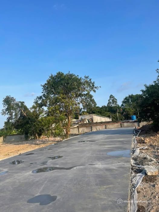 Bán đất thổ cư: Bán đất Móng Cái 110m2 full thổ cư, hướng Đông Nam, ô tô tránh