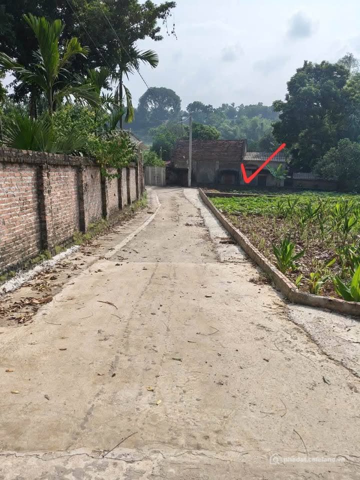 Bán đất thổ cư: Cơ hội có 1-0-2: Lô góc 2 mặt tiền siêu đẹp tại Tòng Lệnh, Tòng 