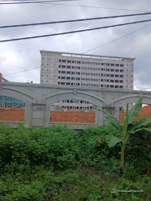 Bán đất thổ cư: Bán đất thổ cư 50m2 gần Viện A mới An Tường, giá chỉ 1,2 tỷ