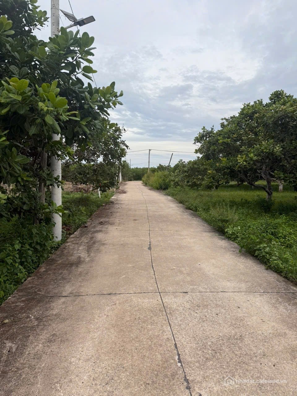 Bán đất thổ cư: Bán 1500 m2 thôn đá mài, hàm tân