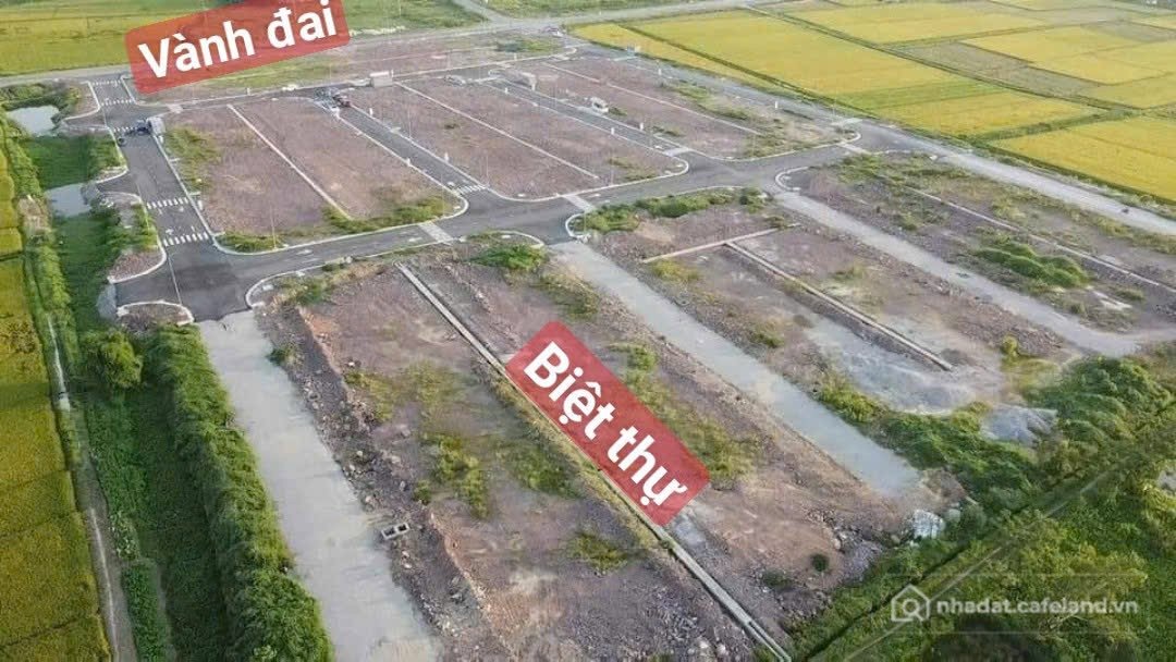 Bán đất thổ cư: Đấu Giá Phùng Hưng - Tư Mại cách KCN Đồng Phúc chỉ vài trăm mét 