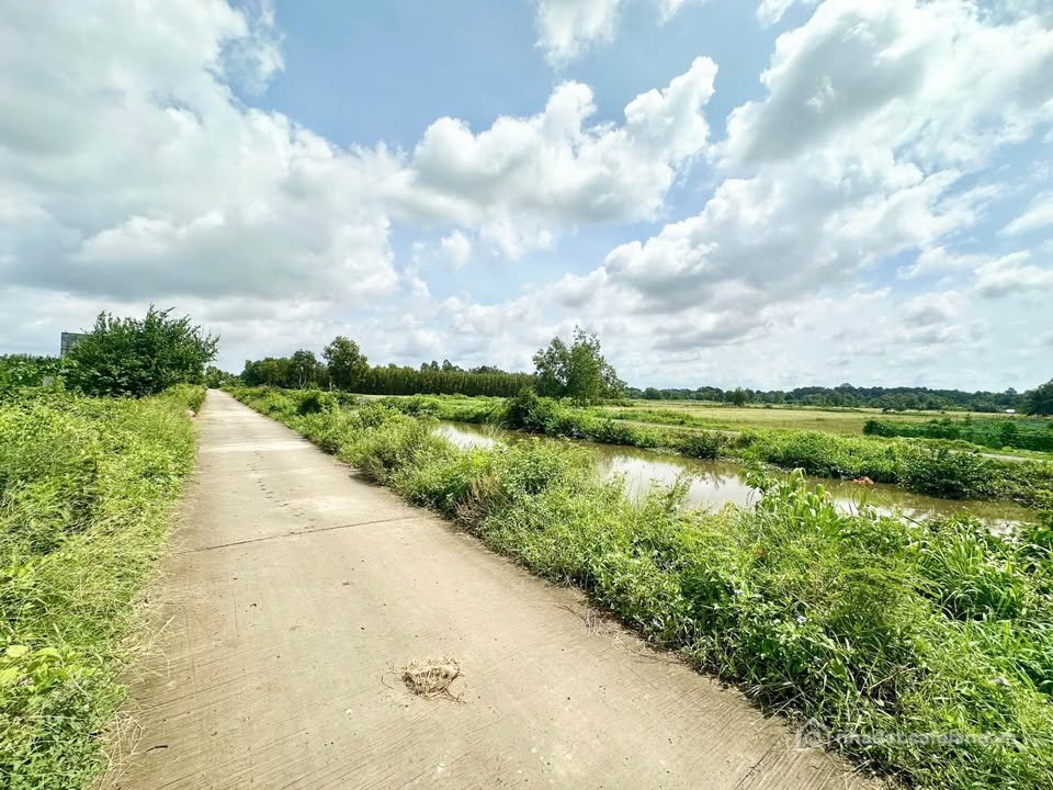 Bán đất thổ cư: Mặt tiền kênh Hoà Thuận – Cơ hội đầu tư &amp; an cư