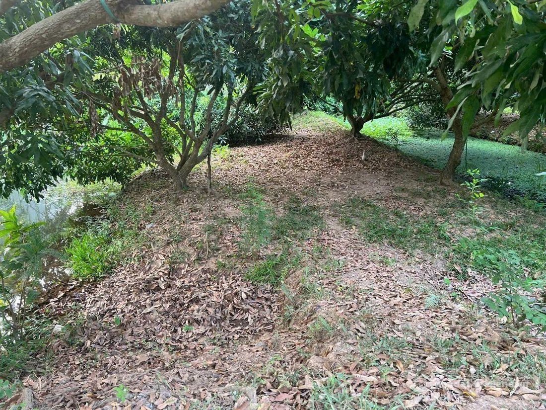 Bán đất thổ cư: VL6-5 | 2.245,2m² (300m² TC) | 🧭 Đông Bắc | 2 tỷ