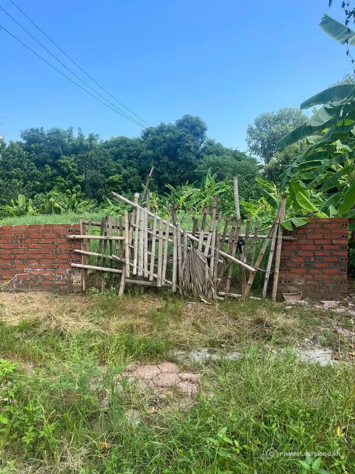 Bán đất thổ cư: Cơ hội vàng sở hữu ngay ô đất đắc địa tại khu Long Châu Sa, phườ