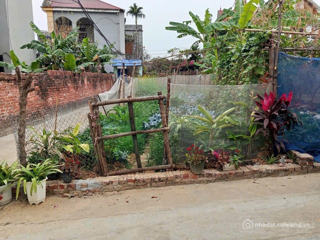 Bán đất thổ cư: Chính chủ muốn bán lô góc 2 mặt tiền 86 m² cách thị trấn Sóc Sơn