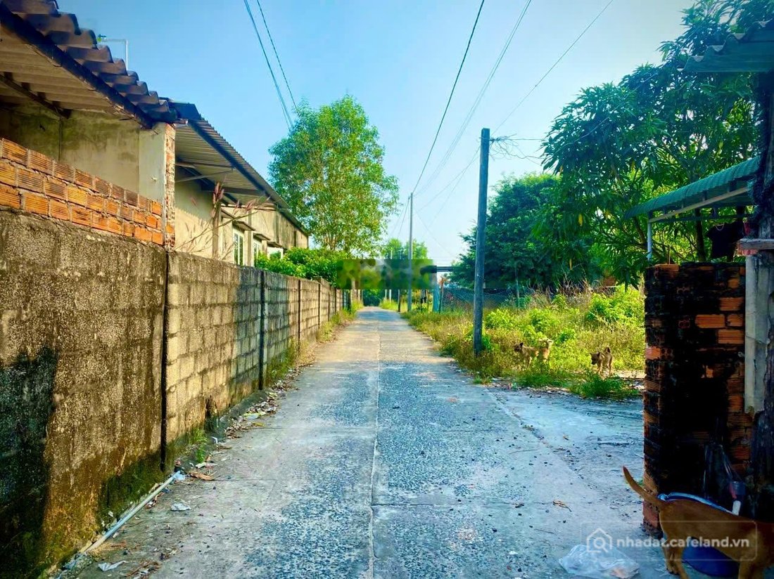 Bán đất thổ cư: Bán đất 12,5x25m 306m² có sẵn 247,6m² thổ cư giá chỉ 1,2 tỷ gần 
