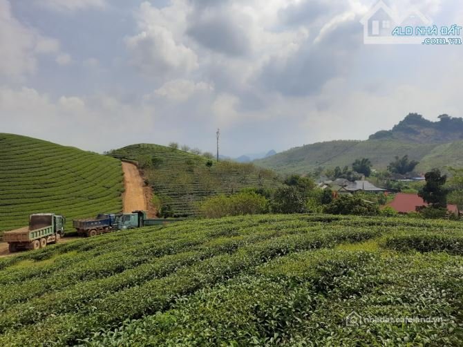 Bán đất thổ cư: Bán đất Vân Hồ, Mộc Châu view hồ, lưng tựa đồi chè 944m chỉ 6 tỷ