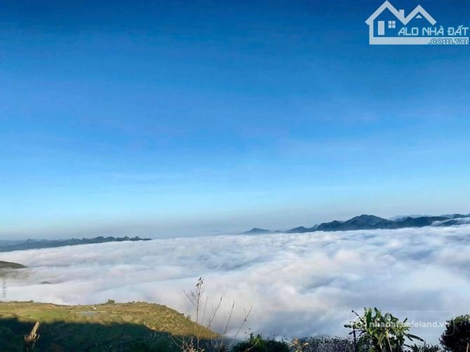 Bán đất thổ cư: Đất săn mây khu du lịch quốc gia mộc châu vân hồ .4567m2 .2000 t
