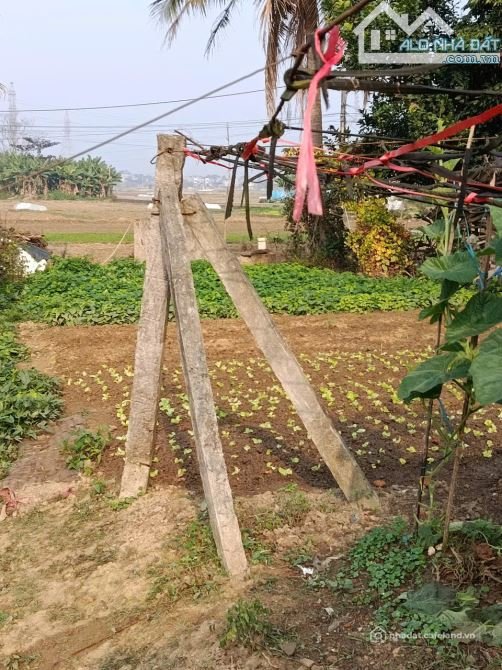 Bán đất thổ cư: BÁN MẢNH ĐẤT PHƯỜNG MINH XUÂN - THÀNH PHỐ TUYÊN QUANG - 220M2 - 