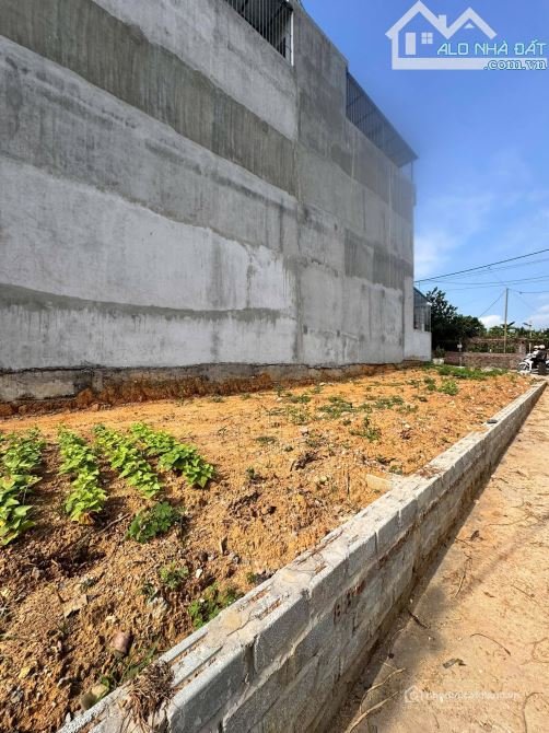 Bán đất thổ cư: CƠ HỘI ĐẦU TƯ HIẾM CÓ: ĐẤT KM5 GỐC GẠO – DIỆN TÍCH KHỦNG 185M² –