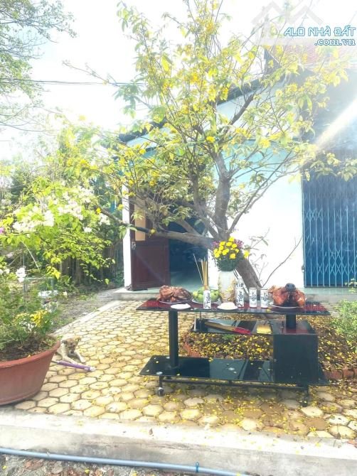 Bán nhà riêng: Siêu rẻ, mặt tiền Quản Lộ Phụng Hiệp, Tân Thành, Cà Mau, 8900m, c