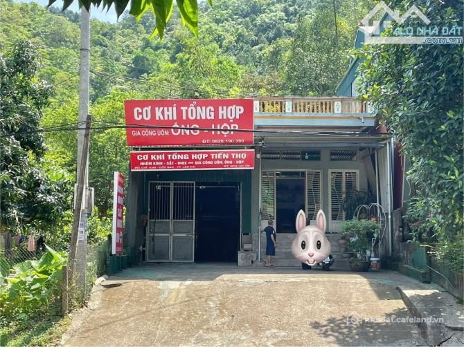 Bán đất thổ cư: Bán đất tặng nhà Cốc San cực kì tiềm năng giá chỉ 3.x tỉ