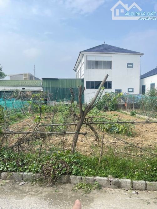 Bán đất thổ cư: Bán 103,3m2 đất ở Nghi Xá-Nghi Lộc gần Khu công nghiệp WHA