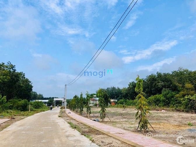 Bán đất nền dự án: Cô 3 cần chuyển nhượng lại lô đất tại Bình Phước