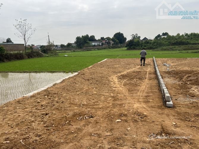 Bán đất thổ cư: Bán Đất 115m2 full thổ cư ,mt 5,6m, Phổ Yên, Thái Nguyên giá chỉ