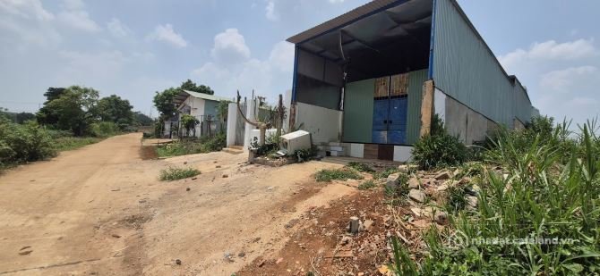 Bán đất thổ cư:  Đất hẻm Lý Thường Kiệt ngắm được view ruộng