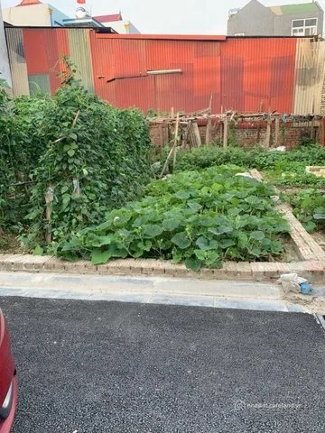 Bán đất thổ cư: Bán đất thổ cư 55m2 tại Hà Lâm 2 Thụy Lâm Thư Lâm Hà Nội đường ô
