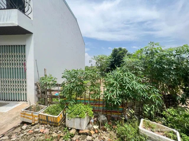 Bán đất thổ cư: Bán đất thổ cư 66m2 tại Phúc Thọ Mai Lâm Đông Anh HN full thổ cư