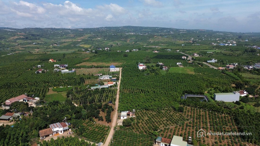 Bán đất thổ cư: Đất thổ cư 435 triệu gần Đà Lạt - Sổ hồng riêng, vuông vắn